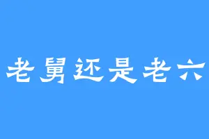 老舅还是老六