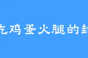 爱吃鸡蛋火腿的封兄