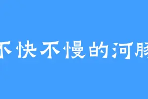 不快不慢的河豚