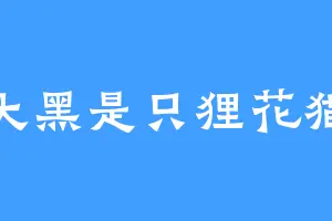 大黑是只狸花猫