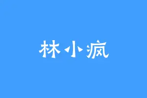 林小疯