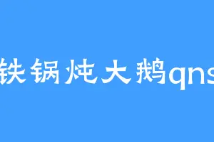 铁锅炖大鹅qns