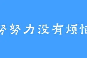 努努力没有烦恼