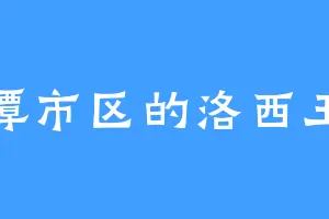 湘潭市区的洛西王子