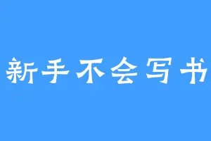 新手不会写书