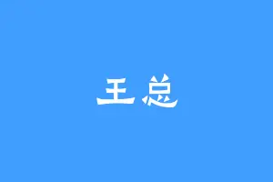 王总