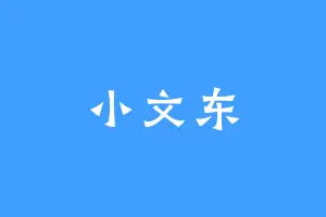 小文东