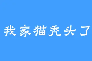 我家猫秃头了