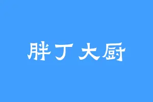胖丁大厨