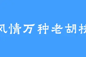 风情万种老胡桃