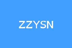 ZZYSN