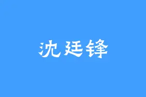 沈廷锋