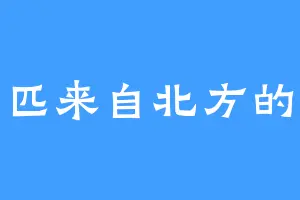 一匹来自北方的狼