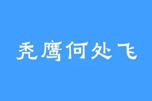 秃鹰何处飞