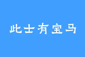 此士有宝马