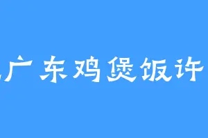 爱吃广东鸡煲饭许新民