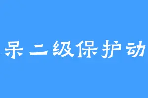 发呆二级保护动物