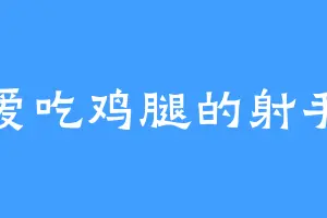 爱吃鸡腿的射手