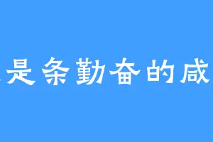 我是条勤奋的咸鱼