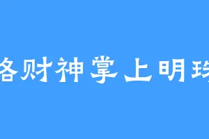 五路财神掌上明珠88