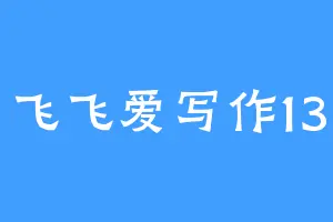 飞飞爱写作13