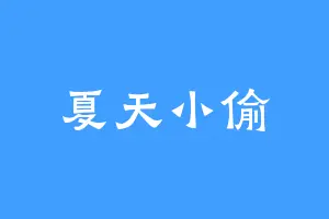 夏天小偷