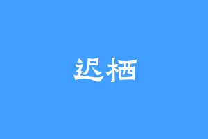 迟栖
