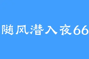 随风潜入夜66