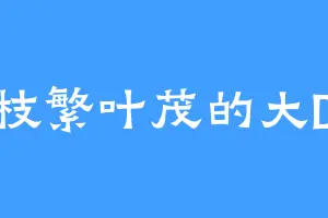 枝繁叶茂的大D