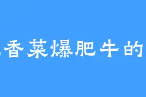 爱吃香菜爆肥牛的龙大