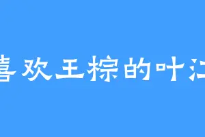喜欢王棕的叶江