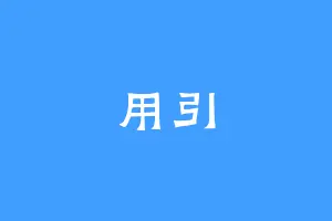 用引