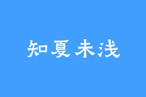知夏未浅