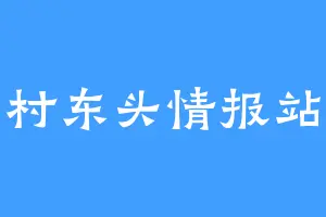 村东头情报站