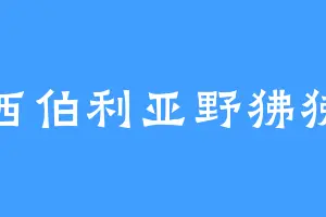 西伯利亚野狒狒