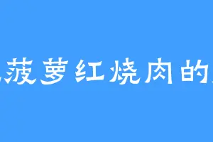爱吃菠萝红烧肉的靓仔