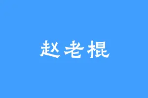 赵老棍