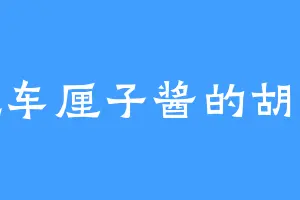 爱吃车厘子酱的胡小成