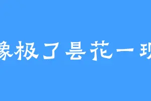 像极了昙花一现