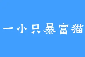 一小只暴富猫