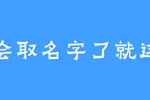 不会取名字了就这个