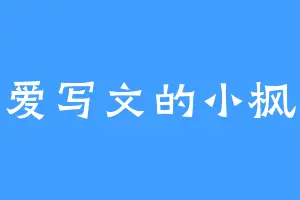 爱写文的小枫