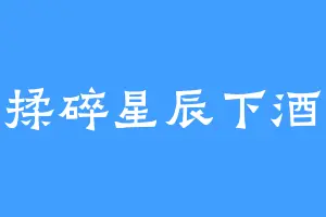 揉碎星辰下酒