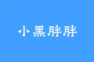 小黑胖胖