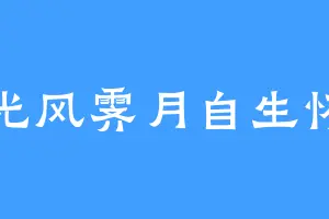 光风霁月自生怀