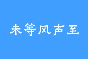 未等风声至
