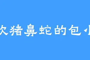 喜欢猪鼻蛇的包小七