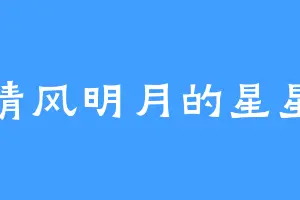 清风明月的星星