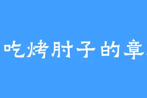 爱吃烤肘子的章海