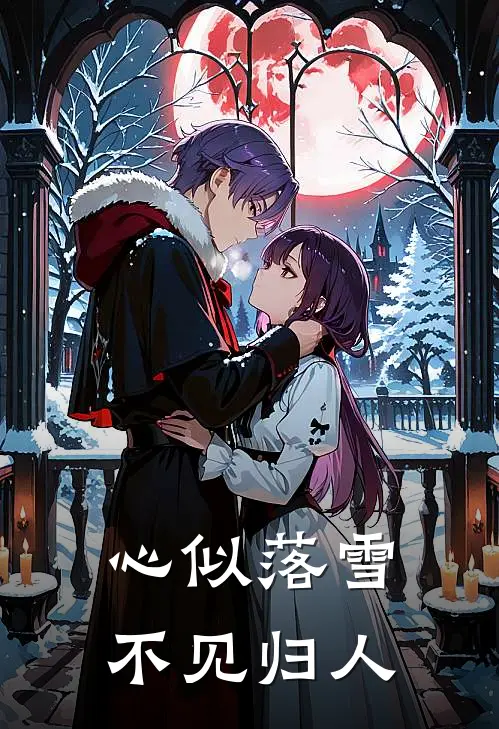 心似落雪，不见归人